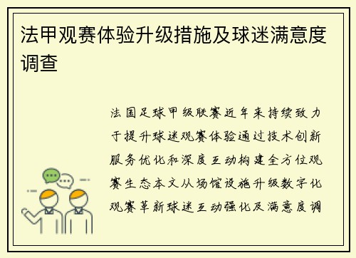 法甲观赛体验升级措施及球迷满意度调查